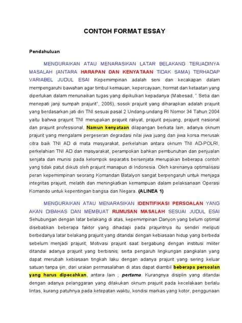 CONTOH Format ESSAY | PDF