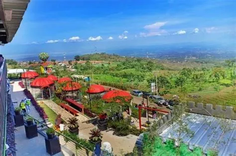 Menyelami Kecantikan Alam yang Instagramable di Pondok Cai Pinus ...