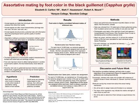 Poster Examples - How do I Design a Research Poster? - LibGuides at ...