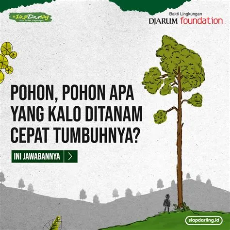 Ada Pohon Cepat Tumbuh, Pohon Apa Itu?