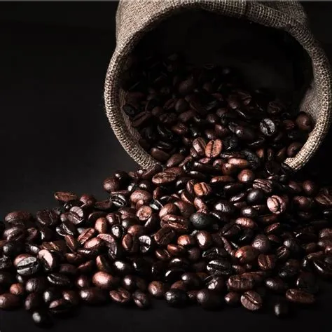 The Best Coffees For Beginners (in 2024) Barista's Pick