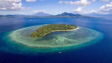 Mengintip Keindahan Taman Nasional Bunaken, Destinasi Wisata di Manado ...