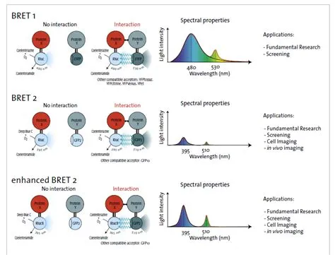 尖端生物科技Tecan產品介紹: BRET (Bioluminescence Resonance Energy Transfer)