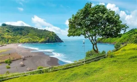 Menikmati Keindahan Alam di Bukit Samboja, Destinasi Wisata Tersembunyi ...