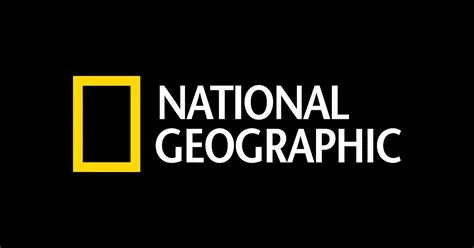 Learn About Deadly Tsunamis | National Geographic