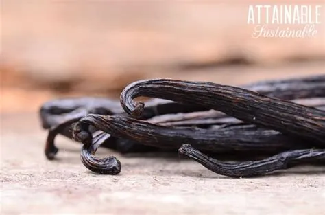 Make Your Own Vanilla with Whole Vanilla Beans For a LOT Less