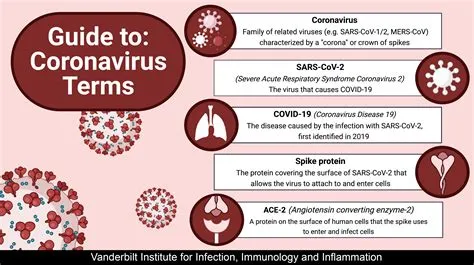 Guide to: Coronavirus Terms | Vanderbilt Institute for Infection ...