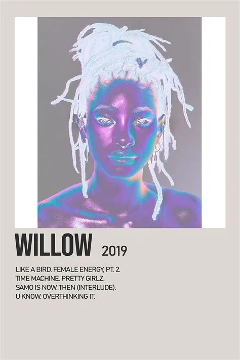 Willow by Willow Album Poster | Music poster design, Music poster ...