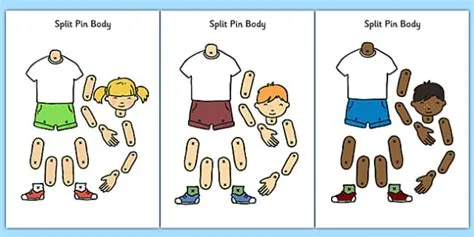 Split Pin Bodies (Hecho por educadores) - Twinkl