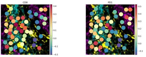 一个工具搞定空间转录组全流程分析!-尖端生物科技