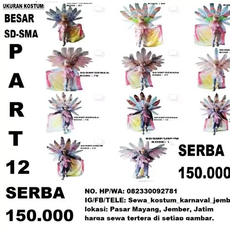 Sewa Kostum Karnaval Jember | Ready sewa. Selengkapnya silahkan wa/telp ...