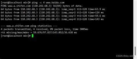 Linux ping命令详解_linux服务器ping端口怎么ping-CSDN博客