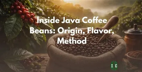 Inside Java Coffee Beans: Origin, Flavor, Method - Indonesia Specialty ...