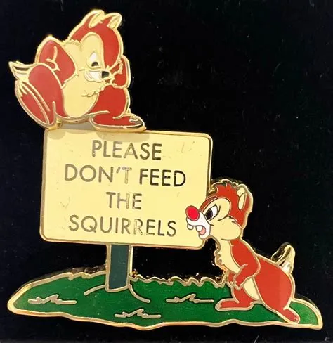 Chip & Dale Don't Feed the Squirrels Employee Center DEC Disney Pin L0 ...