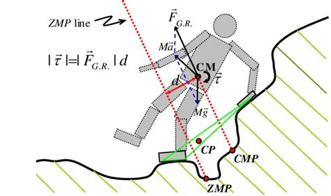 Dynamical multi-link humanoid model with hand and foot contact. The ...