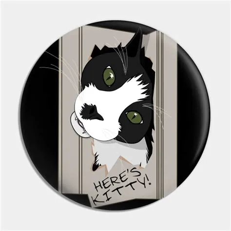 HERES KITTY breaks down door - Cat - Pin | TeePublic