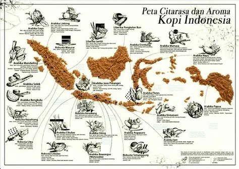 Peta citarasa kopi Indonesia – Bedhag Kopi Jember