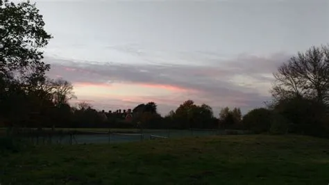 Synonyms and Antonyms Worksheets | K5 Learning