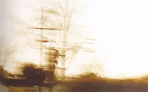 Uta Barth, Nowhere Near, 2000 | Abstract photography, Blur photography ...