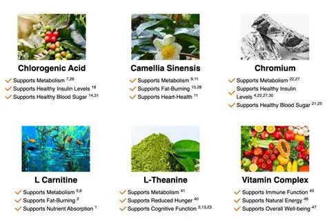 Java Burn Reviews: The Best Metabolism-Boosting Coffee Supplement for ...