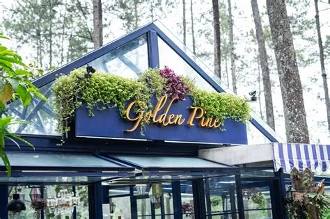 Golden Pine Orchid Forest Cikole, Banyak Ditiru dan Jadi Inspirasi Cafe ...