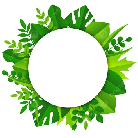 Tropical Green Leaves Monstera Round Border Frame Transparent ...