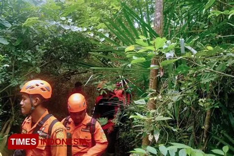 Hendak Mencari Tanaman Gebang, Kakek Asal Banyuwangi Hilang di Hutan ...