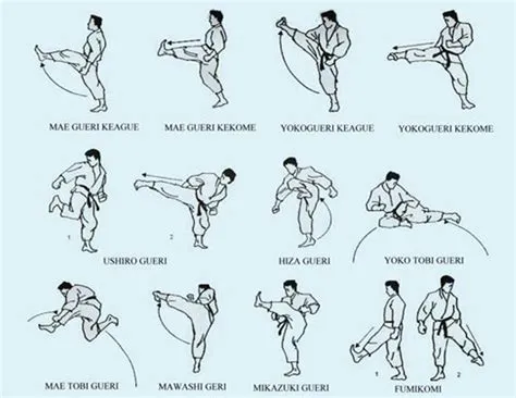 Kyokushin Karate, Shotokan Karate, Karate Martial Arts, Martial Arts ...