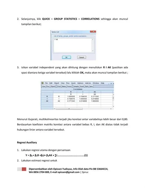 Analisis Uji asumsi klasik dengan Eviews | PDF