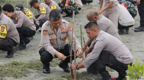 Polda Sulteng Tanam 1.000 Bibit Mangrove di Pantai Palu Utara ...