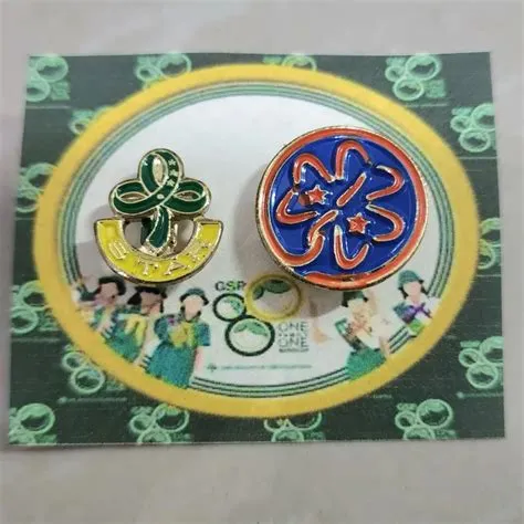 GIRL SCOUT PINS SET - GSP/WORLD PIN BUNDLE | Lazada PH
