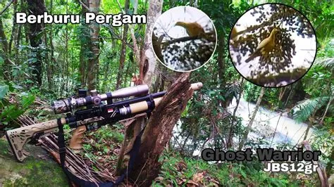 🔴NYANGONG POHON GEBANG BERBURU PERGAM👍GHOST WARRIOR!!! - YouTube