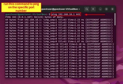 How to Ping Specific Port Numbers in Linux [3 Easy Methods] - Linuxier