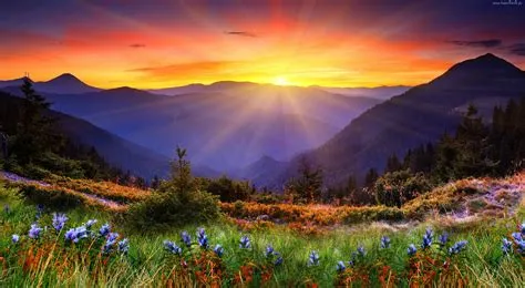 Góry, Wschód słońca, Roślinność, Drzewa | Paisaje de montaña, Paisaje ...