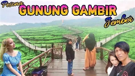 Pesona Gunung Gambir Jember 2023 - YouTube