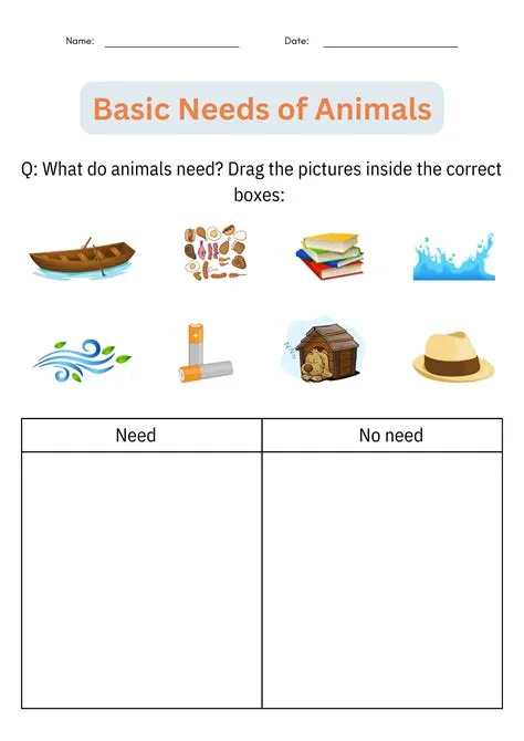 Basic Needs of Animals Activities - Taking Care of Animals Worksheet ...