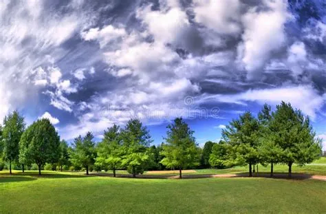 HDRI panorama of a park. In summer with a dramatic sky , #ad, #park, # ...