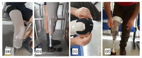 (a) Dermo Liner and pin/lock, (b) transparent socket and Icelock, (c ...