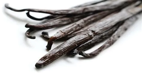 Buy Vanilla Beans - Bulk - Wholesale | Beanilla