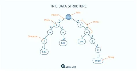 What is data structure? Definition, types, examples