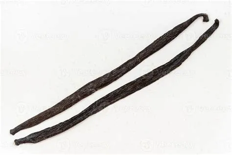 two different whole vanilla beans on white plate 11372301 Stock Photo ...