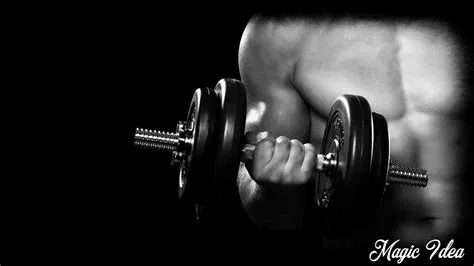 Gymnasium Wallpapers - Top Free Gymnasium Backgrounds - WallpaperAccess