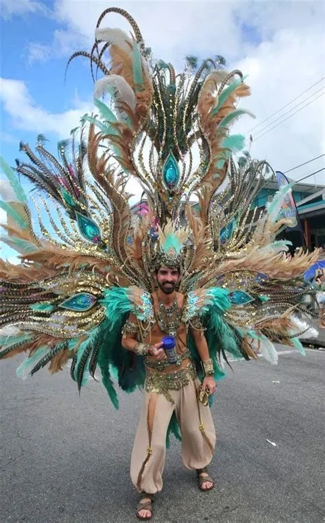 von momocisse91 auf National costumes | Karneval rio, Karneval ...