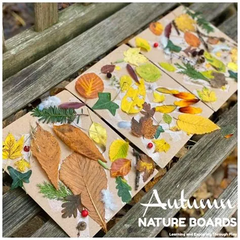 Learning and Exploring Through Play: Nature Collage Boards