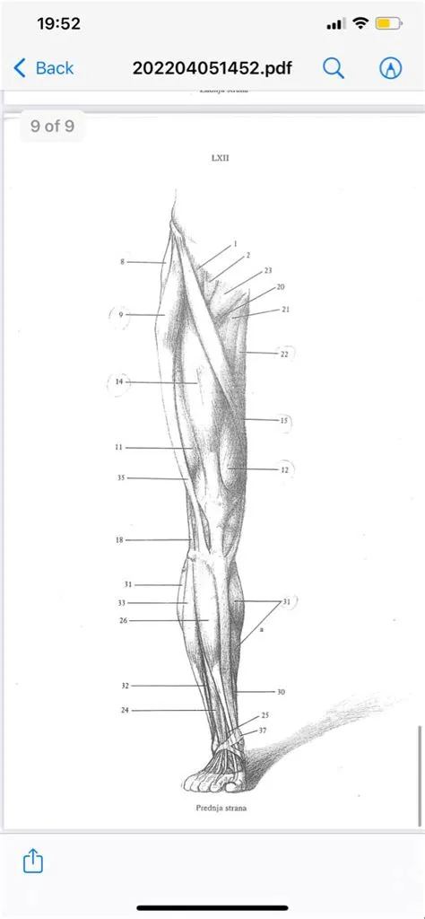 by Vaticajsa on Anatomija | Sketches, Humanoid sketch, Art