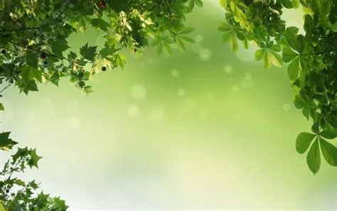 Green Natural Background with Hanging Green Leaves