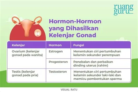 Macam-Macam Kelenjar Endokrin dan Hormon yang Dihasilkan