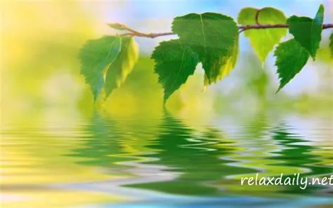 Calm Peaceful Wallpapers - 4k, HD Calm Peaceful Backgrounds on WallpaperBat