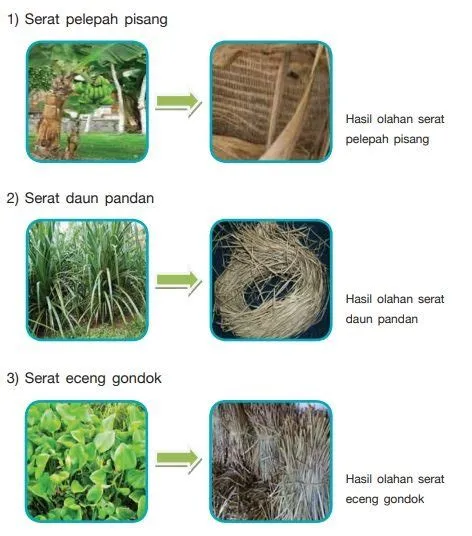 Kerajinan Serat: Jenis, Pengolahan, Proses, Alat & Contoh - serupa.id