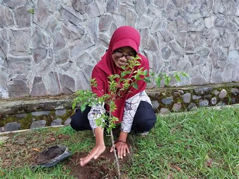 KSR PMI Unit UIN KHAS Khas Jember Nandur Bareng Bunga Sambung Darah